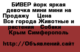 БИВЕР йорк яркая девочка мини мини на Продажу! › Цена ­ 45 000 - Все города Животные и растения » Собаки   . Крым,Симферополь